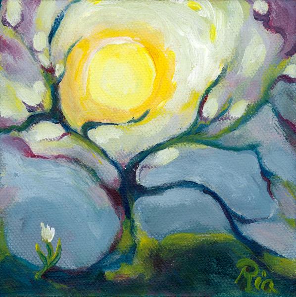 Ria Harboe