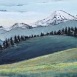 Nicolette Harrington