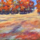 Cynthia Richardson