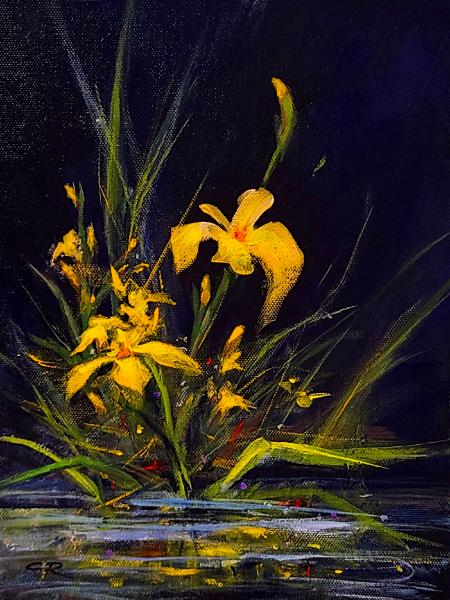 Cynthia Richardson